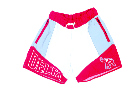 Delta Swim Trunks